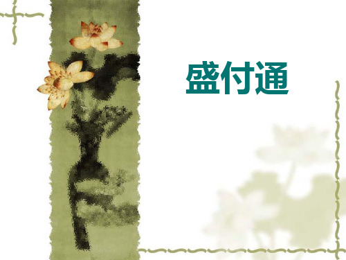 第三方支付产品介绍