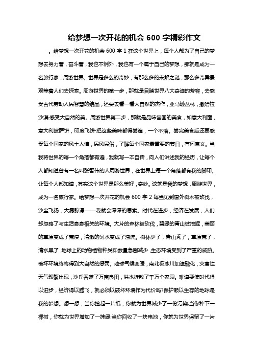 给梦想一次开花的机会600字精彩作文