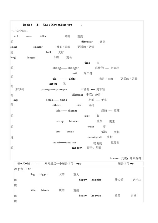 新版人教版六年级英语下册知识点总结.docx