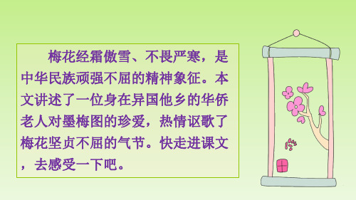 《梅花魂》(完美版)PPT课件3