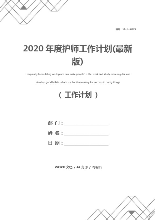 2020年度护师工作计划(最新版)