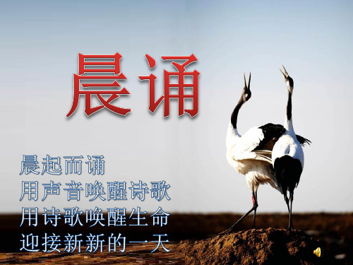 晨诵《早安,小松鼠》