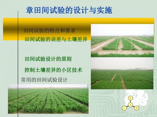 第二章 田间试验的设计与实施[优质ppt]