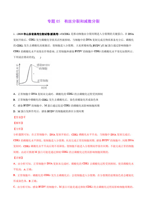 高中生物高考专题05 有丝分裂和减数分裂-2020年高考真题和模拟题生物分项汇编(教师版含解析)