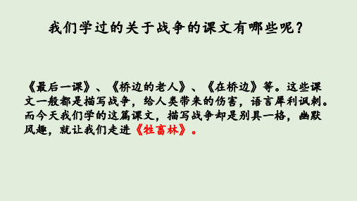 人教版高中语文选修《外国小说欣赏 》第六单元《牲畜林》课件35张
