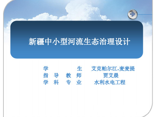 新疆中小型河流生态治理设计