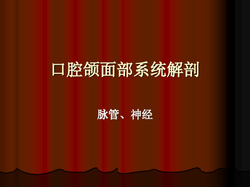 口腔颌面部系统解剖--血管、神经1