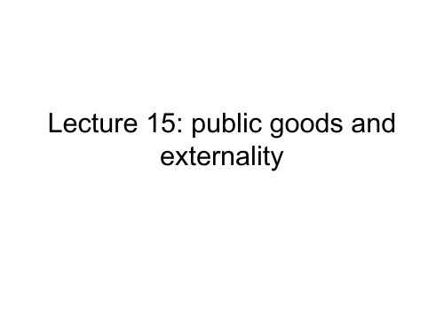 高级微观经济学public goods and externality