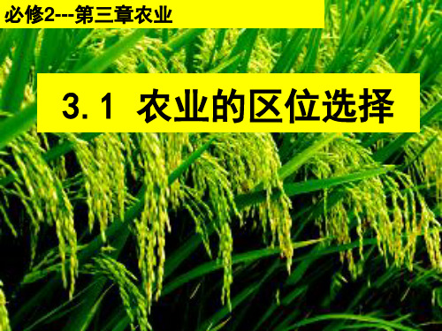 高中地理必修二 3.1农业的区位选择(课件) (共71张PPT)