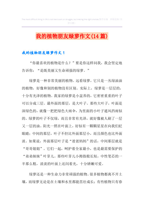 我的植物朋友绿萝作文(14篇)