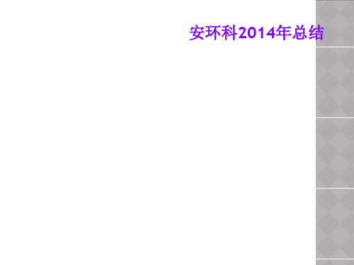 安环科2014年总结