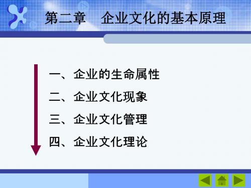 企业文化管理第三次课：企业文化的基本原理——生命属性和文化现象