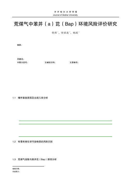 荒煤气中苯并_a_芘_Bap_环境风险评价研究