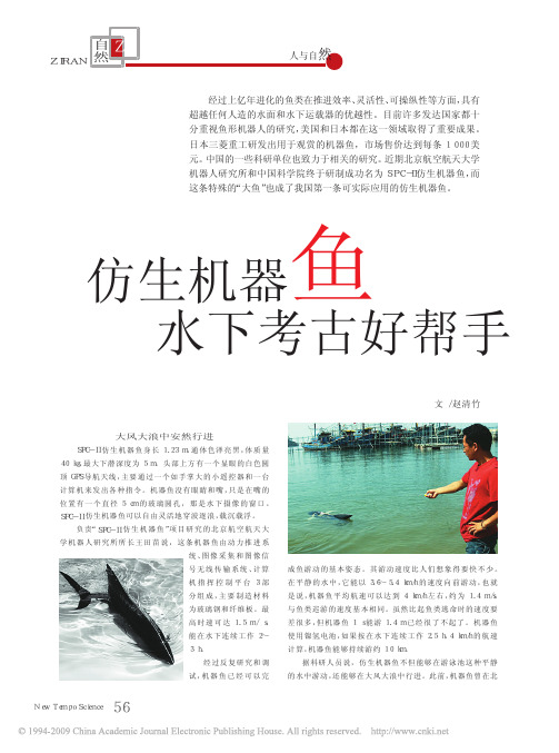 仿生机器鱼水下考古好帮手