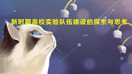 新时期高校实验队伍建设的探索与思考