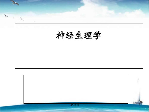 神经生理学  ppt课件