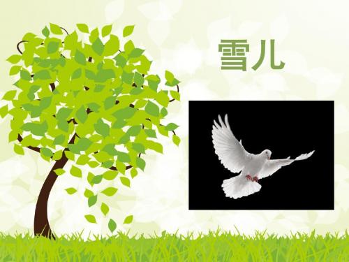 苏教版三年级下册《雪儿》