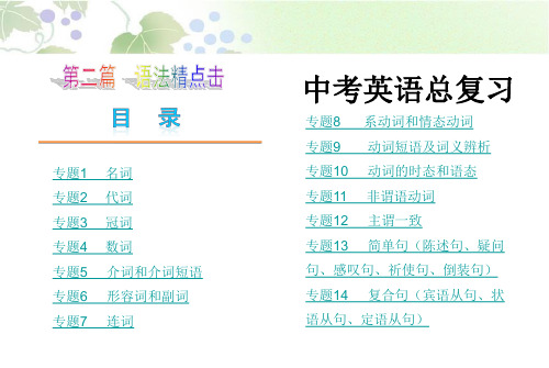 中考英语总复习 专题13   简单句
