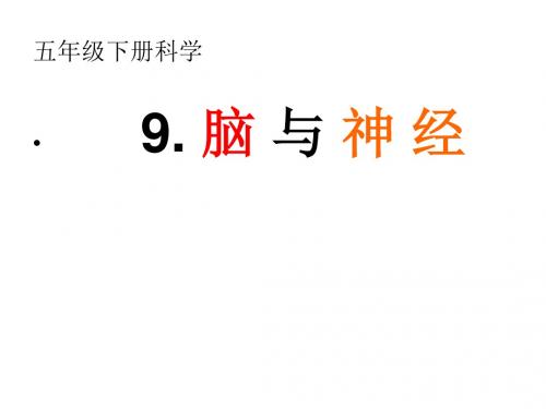9.脑与神经(科学课件)
