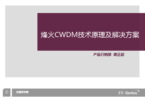 CWDM技术原理及解决方案 ppt课件