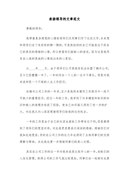 表扬领导的文章范文(六篇)