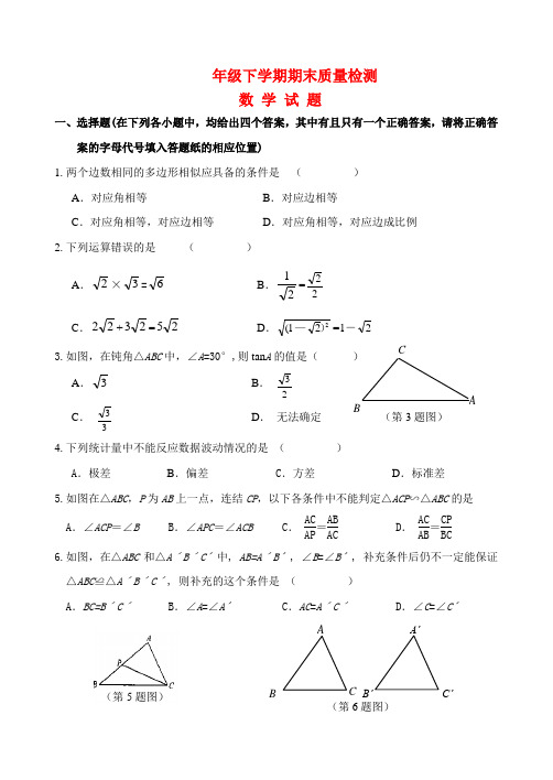 八年级数学下学期期末质量检测 青岛版