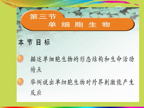 七年级生物上册《单细胞生物》课件 新人教版