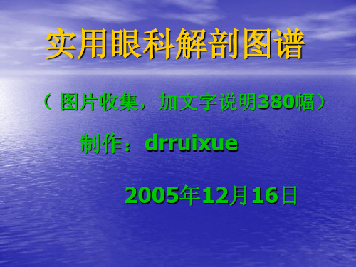 实用眼科解剖图谱