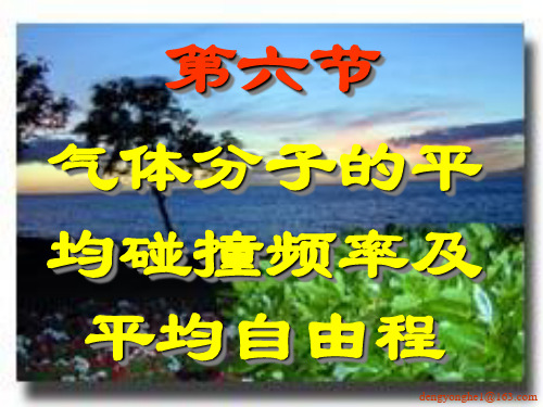 6气体分子的平均碰撞频率及平均自由程