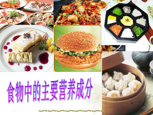 主要营养成分