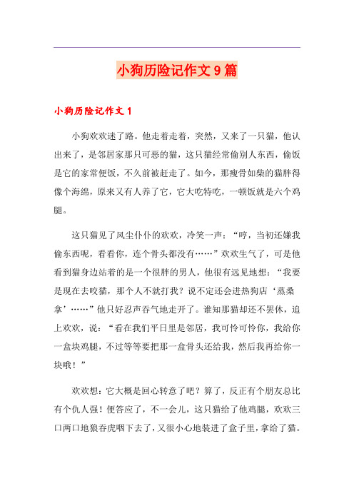 小狗历险记作文9篇
