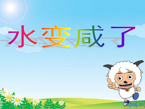 小学科学_水变咸了教学课件设计