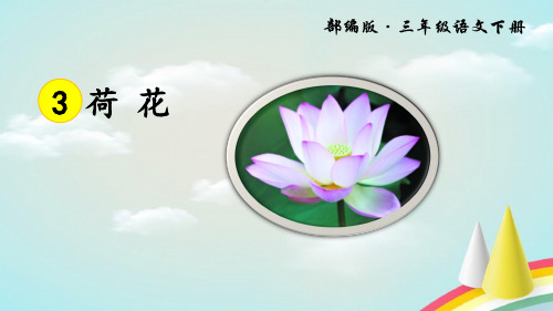 部编版3荷花PPT课件三年级下册语文含音频朗读