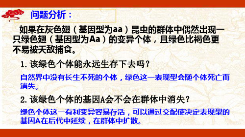 7.2现代生物进化理论的主要内容—人教版高中生物必修二课件(共31张PPT)