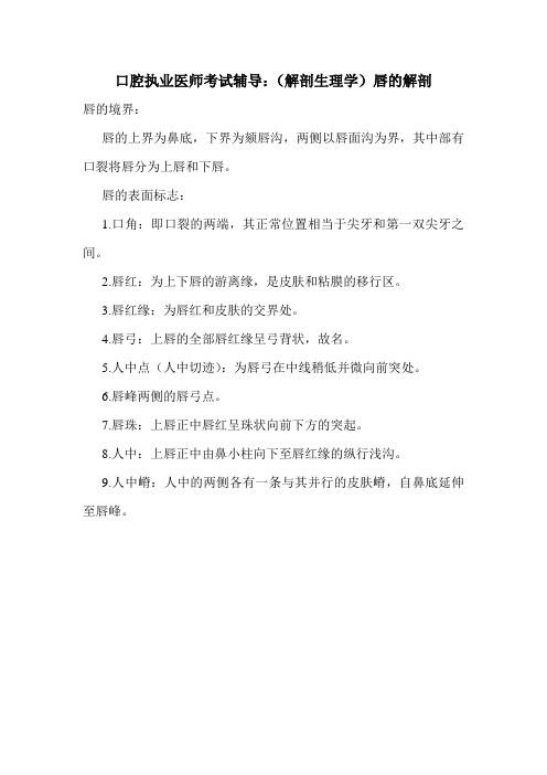 口腔执业医师考试辅导：(解剖生理学)唇的解剖