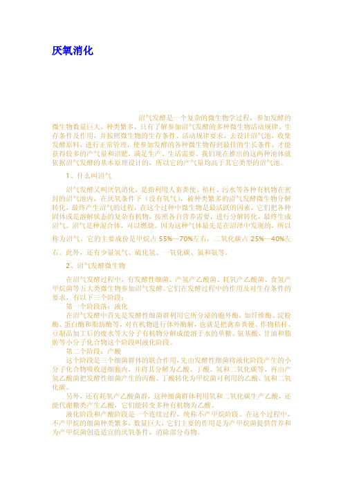 厌氧消化