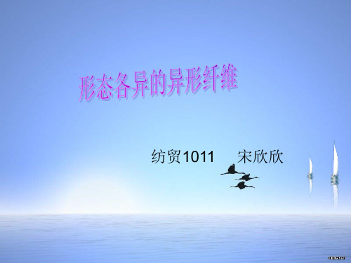 形态各异的异形纤维