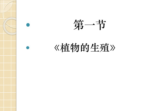 初中生物 -植物的生殖(教学PPT课件)
