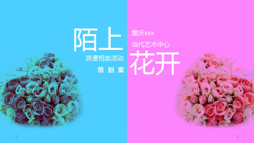 相亲活动方案PPT幻灯片