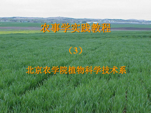 农事学实践教程.ppt