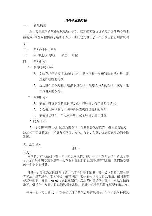 综合实践风信子