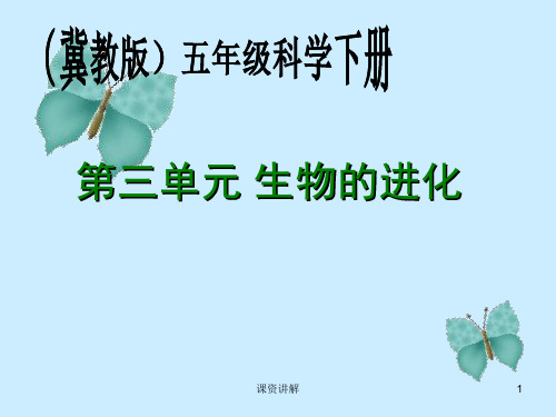 12、《生物进化的秘密》PPT[优讲课堂]