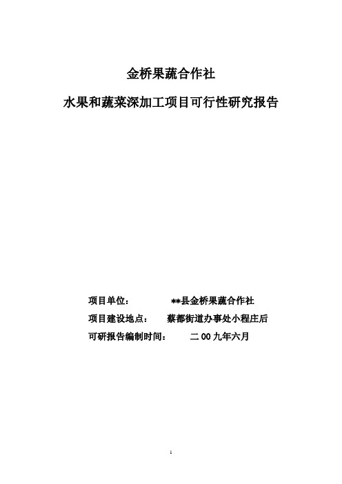金桥果蔬合作社水果和蔬菜深加工项目可行性研究报告