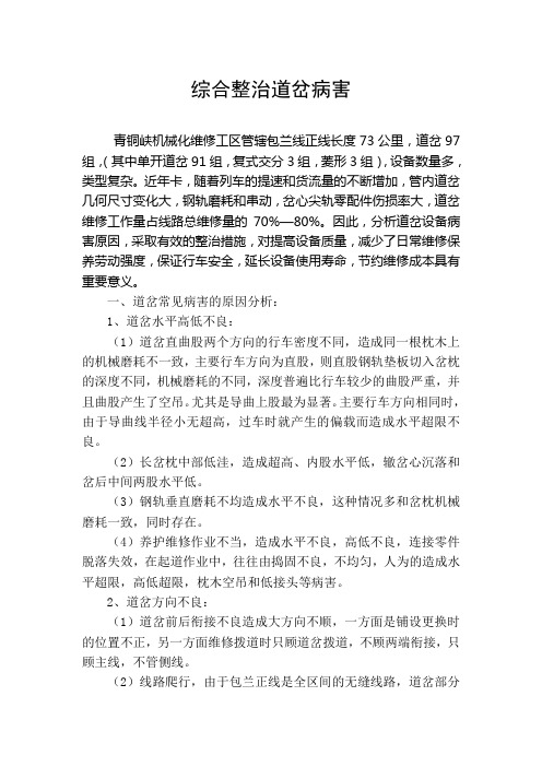 综合整治道岔技术论文