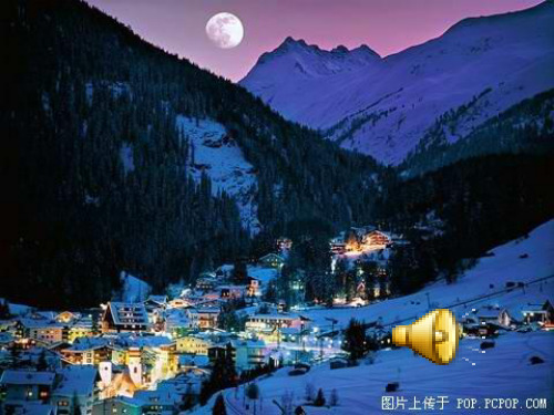 沪教版语文八年级上册《哦,冬夜的灯光》课件1(共33张PPT)