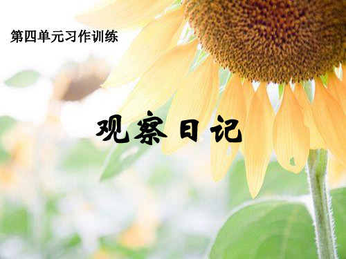 习作四观察日记(豆芽成长记)PPT课件
