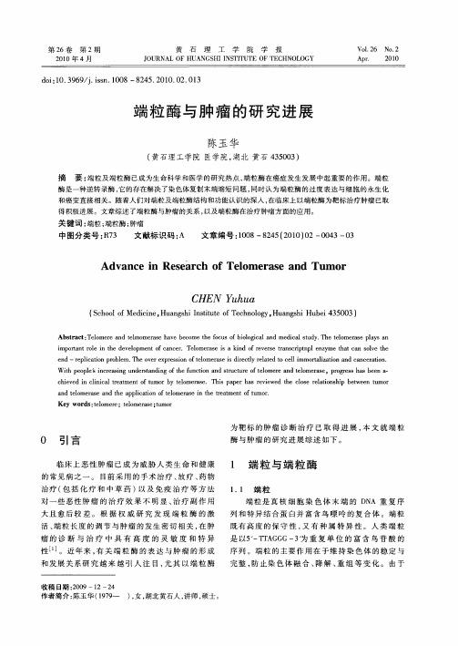 端粒酶与肿瘤的研究进展