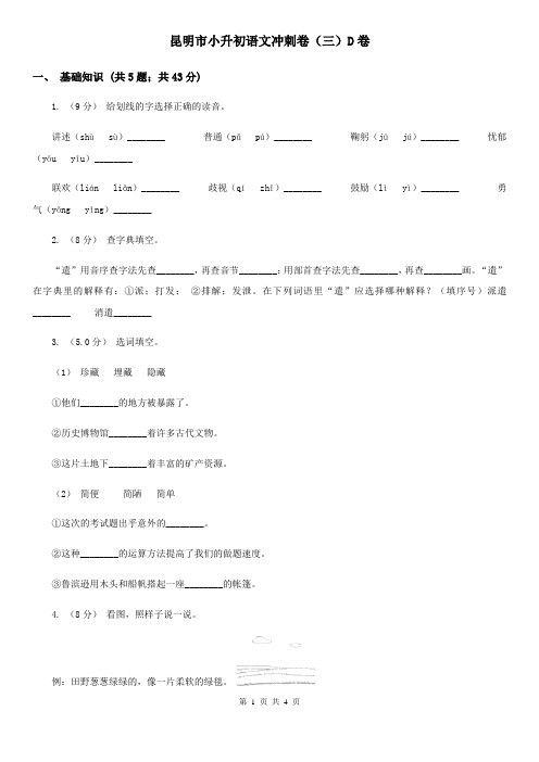 昆明市小升初语文冲刺卷(三)D卷