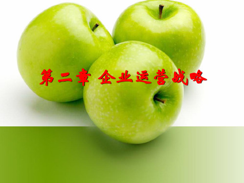 02 运营战略