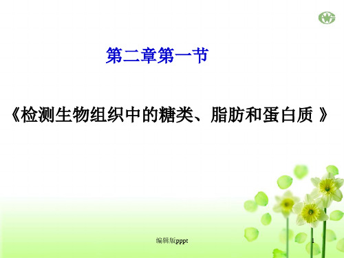 检测生物组织中的糖类,脂肪和蛋白质PPT课件